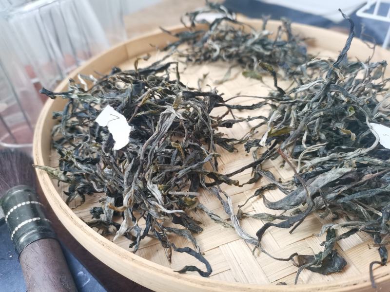 云南普洱茶