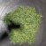 云南普洱茶