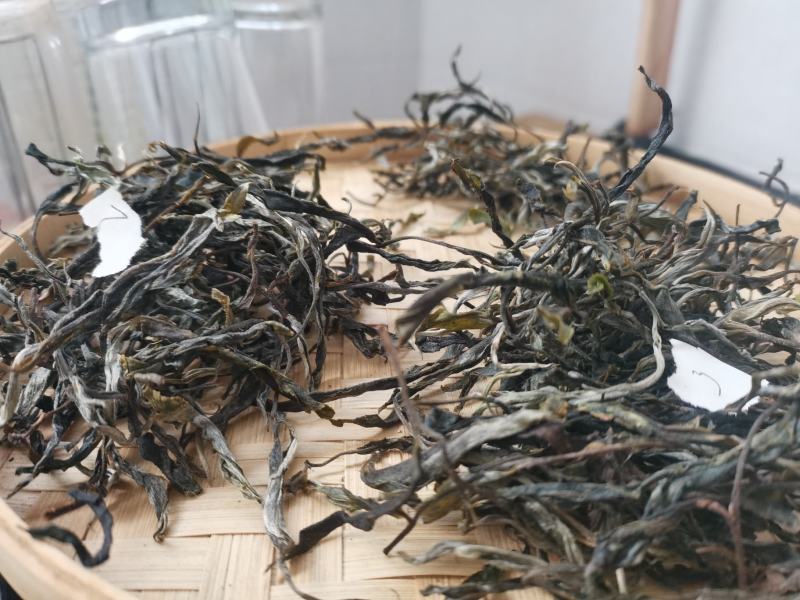 云南普洱茶