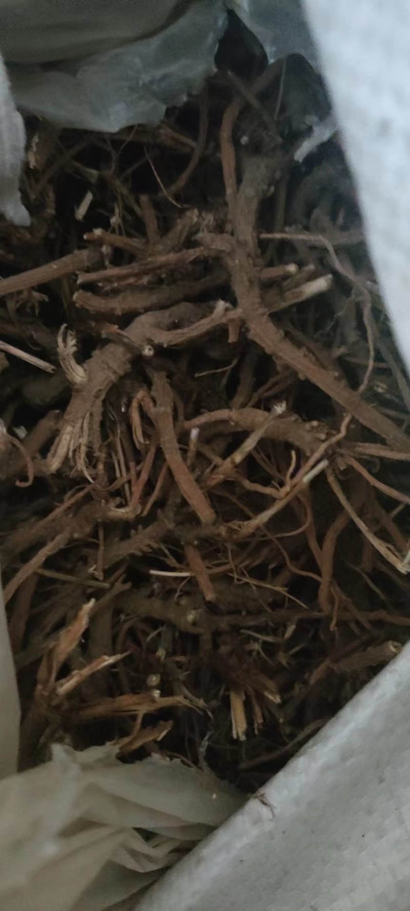 河北柴胡品质保证诚信经营欢迎联系药材基地全国发货量大优惠