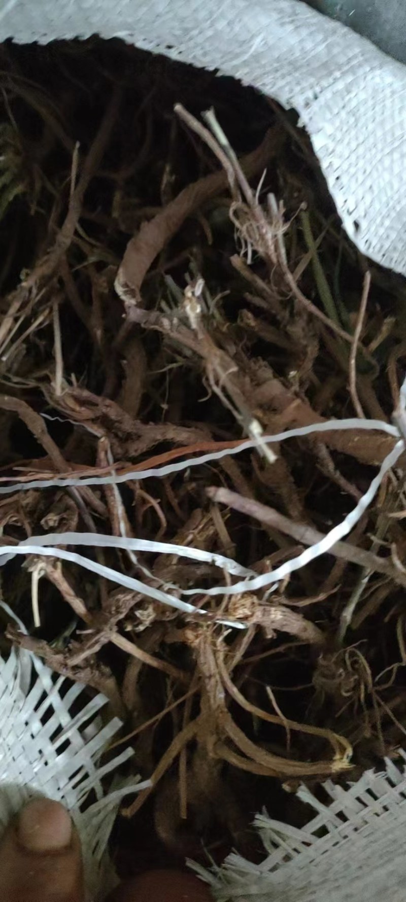 河北柴胡品质保证诚信经营欢迎联系药材基地全国发货量大优惠