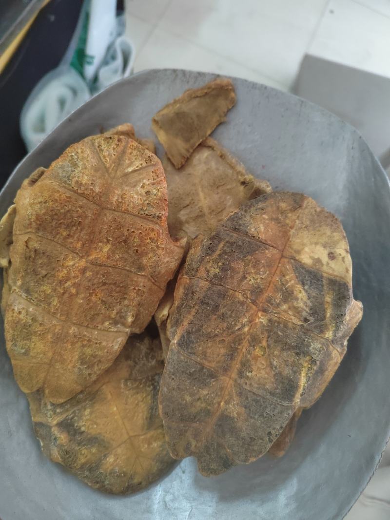 生旱龟板，炙龟板，干货十成干，专注质量，丹丹中药