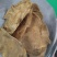 生旱龟板，炙龟板，干货十成干，专注质量，丹丹中药
