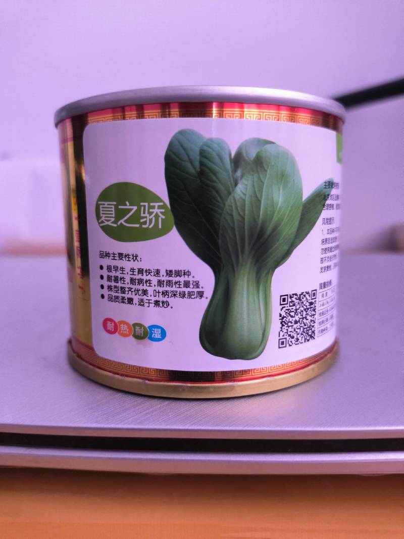 耐热耐湿青梗菜品种，夏之娇上海青种子小油菜种子