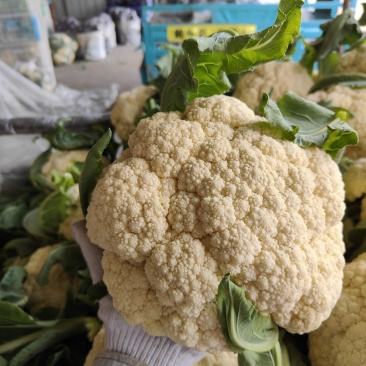 菜花