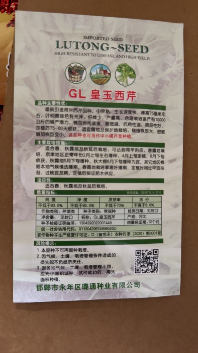 荷兰进口芹菜种子GL皇玉西芹100克嫩芹菜产量高品质好