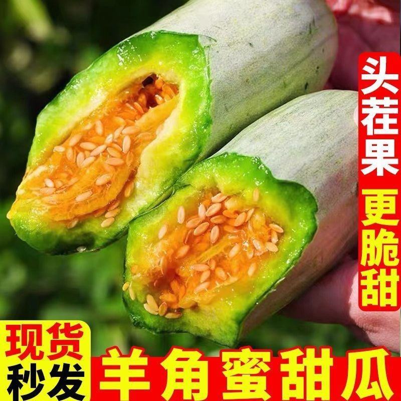 羊角蜜甜瓜，脆甜大果，现货直发，品质保障