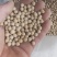 黄豆粉（熟）精选大量批发工厂直销诚信经营量大从优