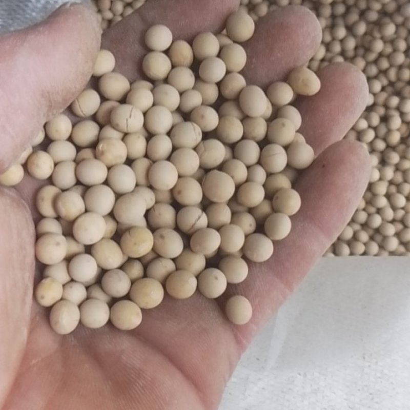 黄豆粉（熟）精选大量批发工厂直销诚信经营量大从优