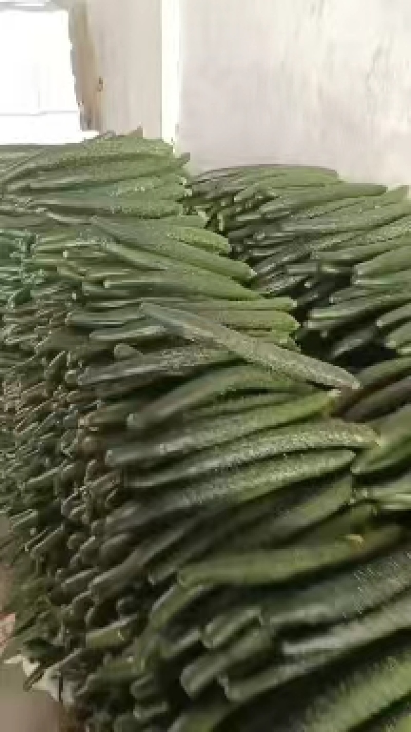 山东密刺黄瓜干花带刺产地直发代收代发全国供应市场商超