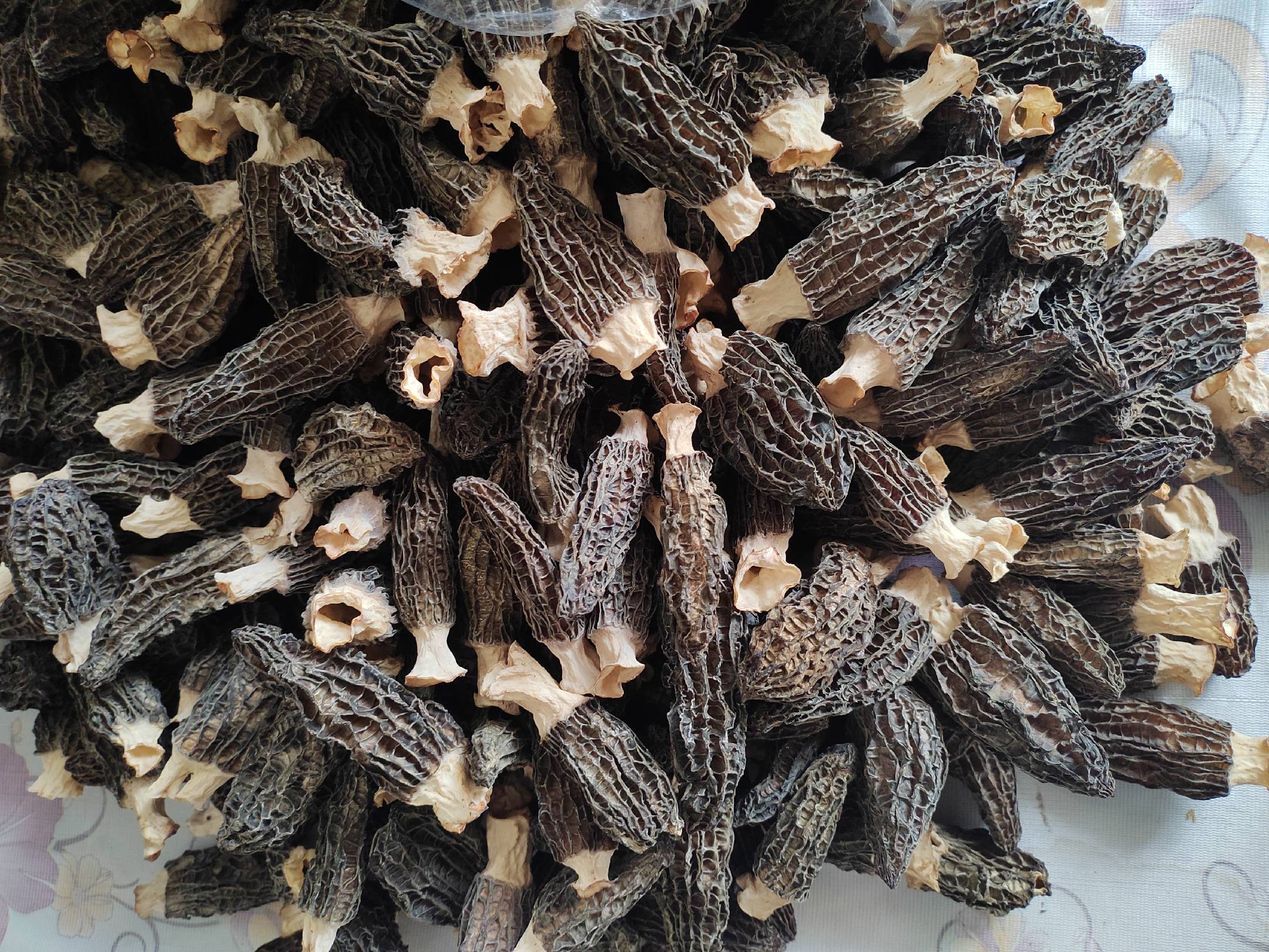 羊肚菌营养成分分析表,展示蛋白质、脂肪、多糖、维生素和微量元素含量 羊肚菌营养成分表