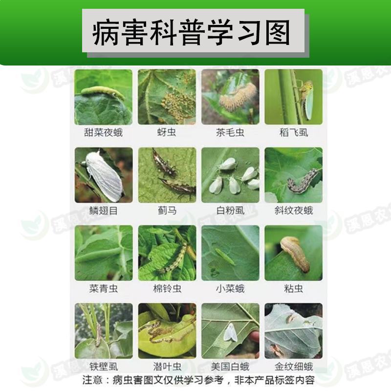 11.8%甲维虫螨腈绿德地凯图蔬菜小菜蛾甜菜夜蛾杀虫专用