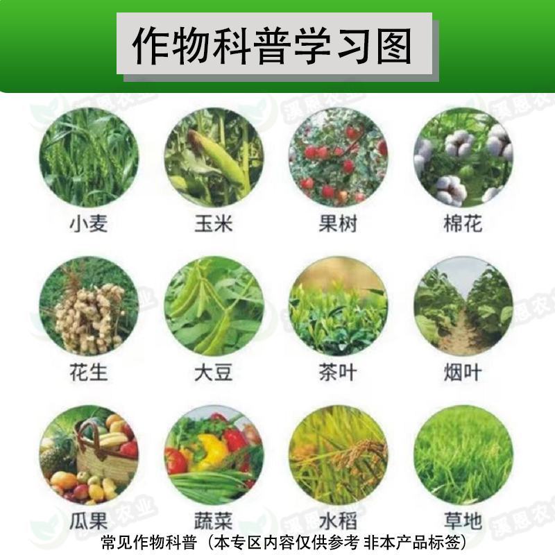 11.8%甲维虫螨腈绿德地凯图蔬菜小菜蛾甜菜夜蛾杀虫专用