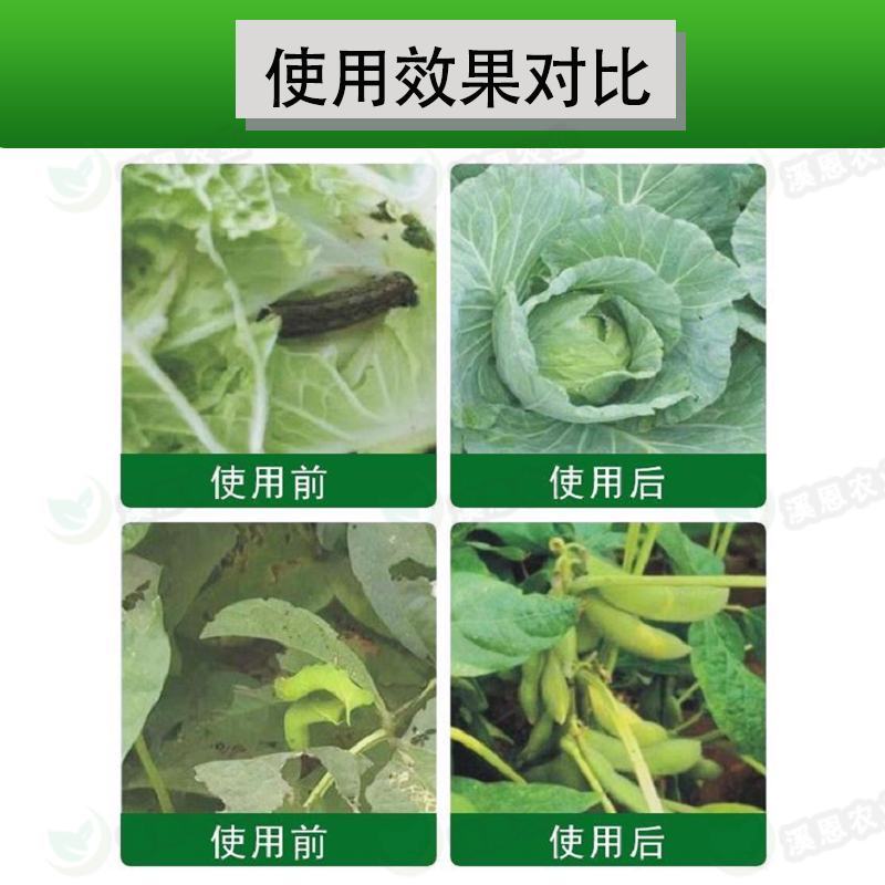 11.8%甲维虫螨腈绿德地凯图蔬菜小菜蛾甜菜夜蛾杀虫专用
