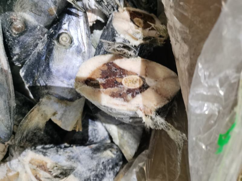 大鲅鱼头