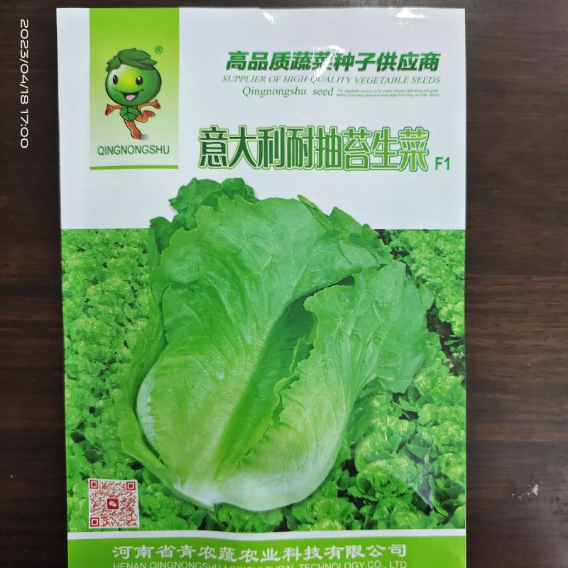 【精品】量大批发耐抽苔生菜种子半结球生菜种子100克