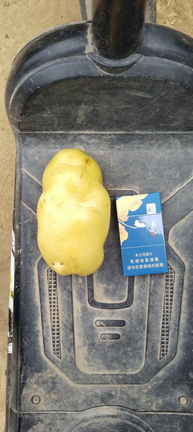 滕州三膜