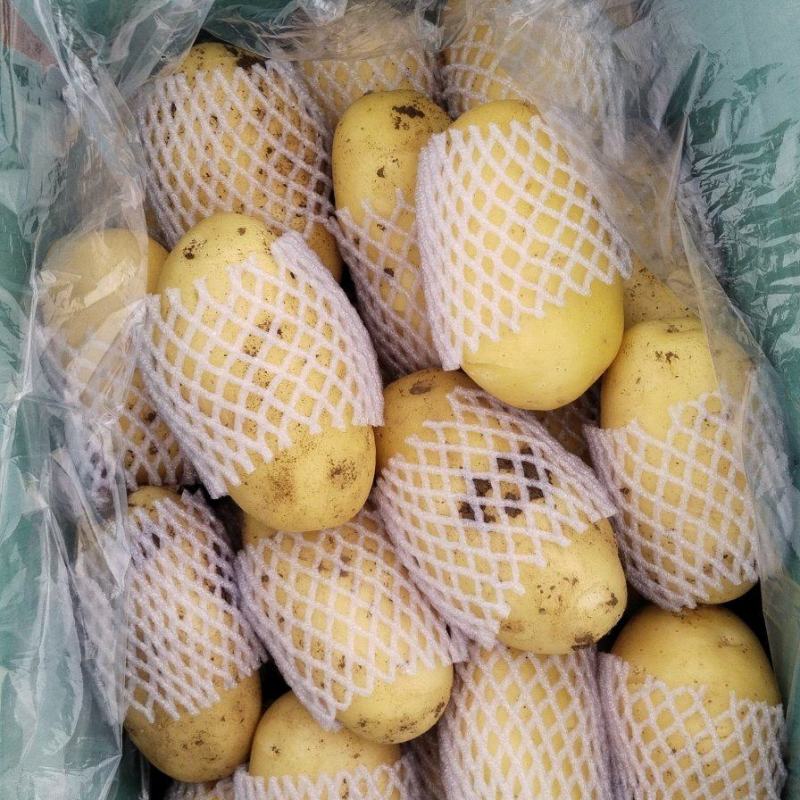 滕州三膜