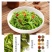 日式裙带菜芽菜丝海草沙律中华海藻即食凉菜箱装精品海藻