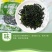 裙带小叶海带裙带荣成盐渍裙带叶海白菜叶海菜螺旋藻非干货
