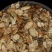 新采当归种子纯新岷当归欧当归籽提供种植技术药用食用四季庭