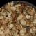 新采当归种子纯新岷当归欧当归籽提供种植技术药用食用四季庭
