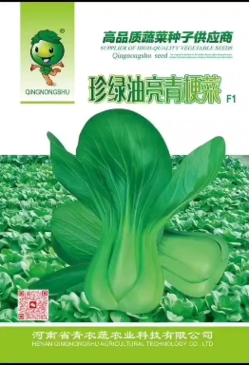 【量大批发】上海青种子鸡毛菜种子青梗菜种子100克