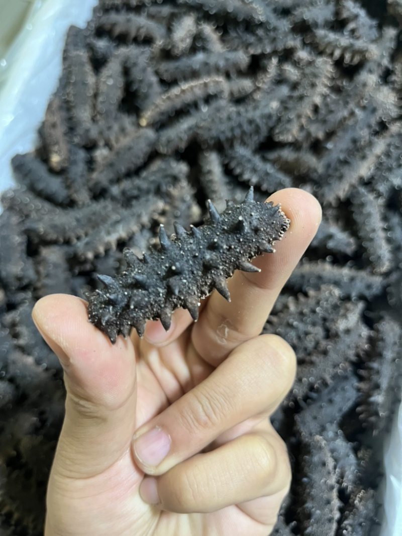 辽参大连淡干海参，辽刺参自家工厂，电商团购，量大从优