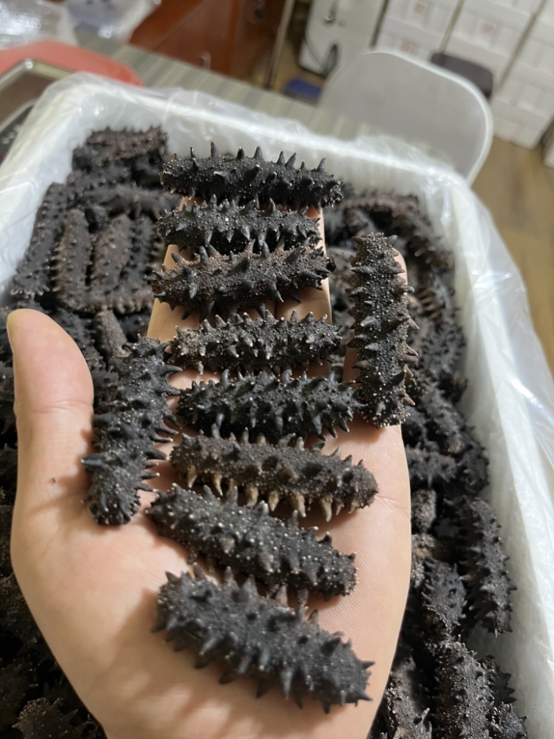 辽参大连淡干海参，辽刺参自家工厂，电商团购，量大从优