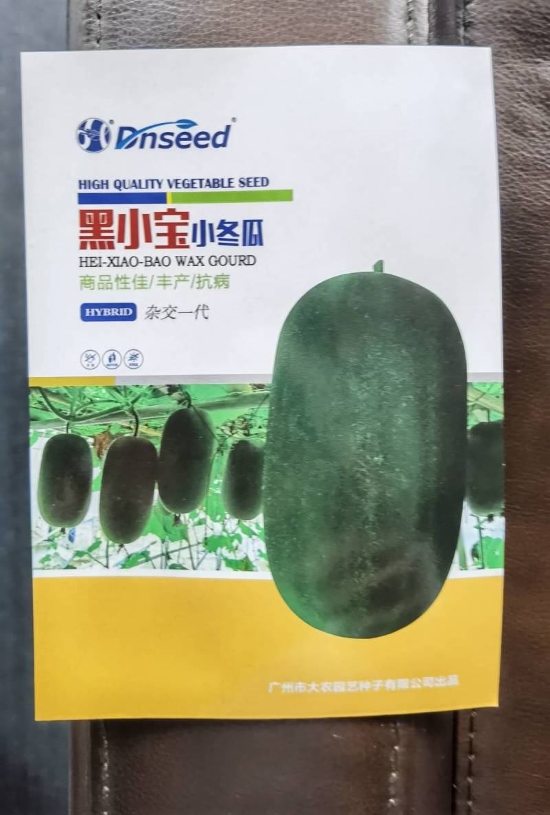 小型黑皮冬瓜种子黑小宝小巧玲珑抗病高产