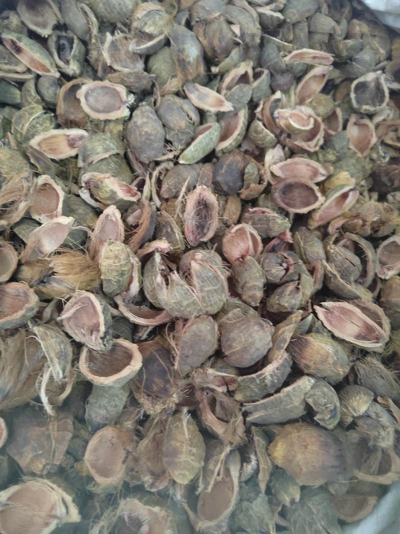 大腹皮，大腹皮硬壳，大腹皮软壳丹丹中药材