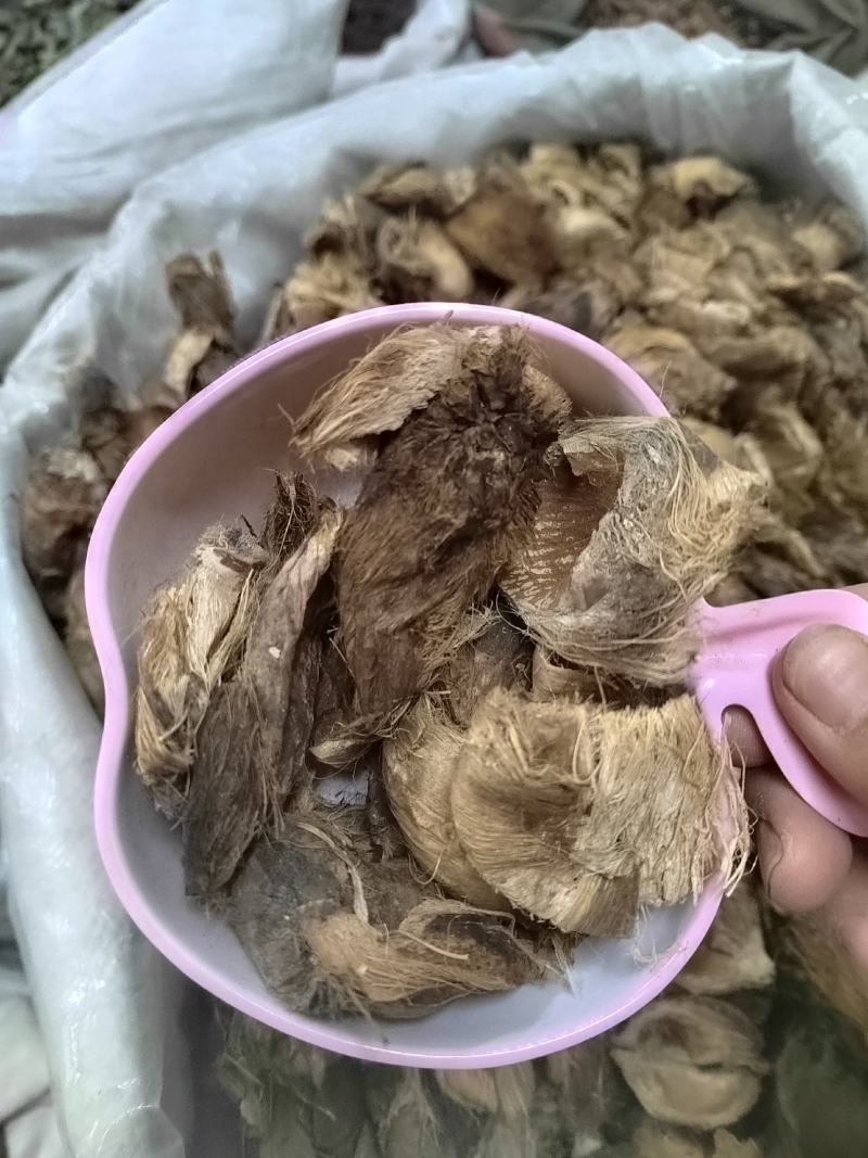 大腹皮，大腹皮硬壳，大腹皮软壳丹丹中药材