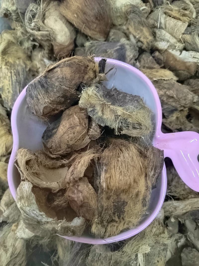 大腹皮，大腹皮硬壳，大腹皮软壳丹丹中药材