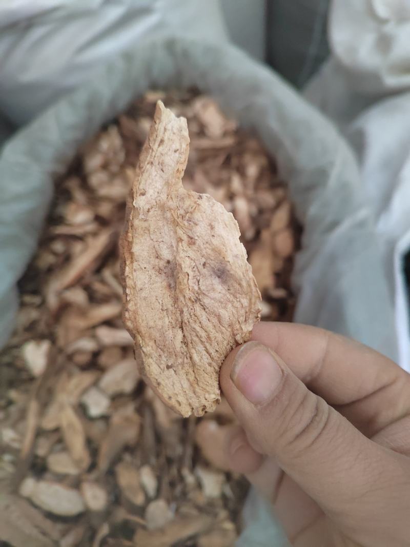 白蔹，山地瓜，白根，中药材白蔹，产地一手货源，质量保证