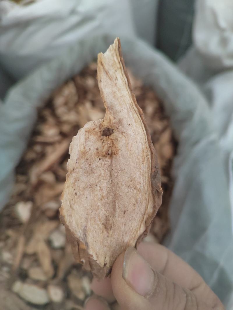 白蔹，山地瓜，白根，中药材白蔹，产地一手货源，质量保证