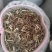 荆芥穗，荆芥段，中药材批发，产地一手货源，丹丹中药