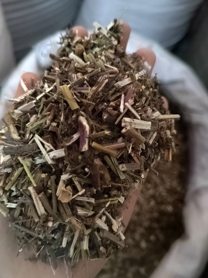 荆芥穗，荆芥段，中药材批发，产地一手货源，丹丹中药