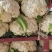 精品有机菜花松花菜货源充足稳定一手货源新鲜花菜