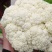 精品有机菜花松花菜货源充足稳定一手货源新鲜花菜