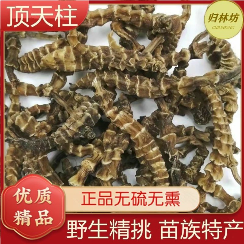 云南特产野生虫草参地参龙菜泽兰根雪参干货顶天柱回春草参