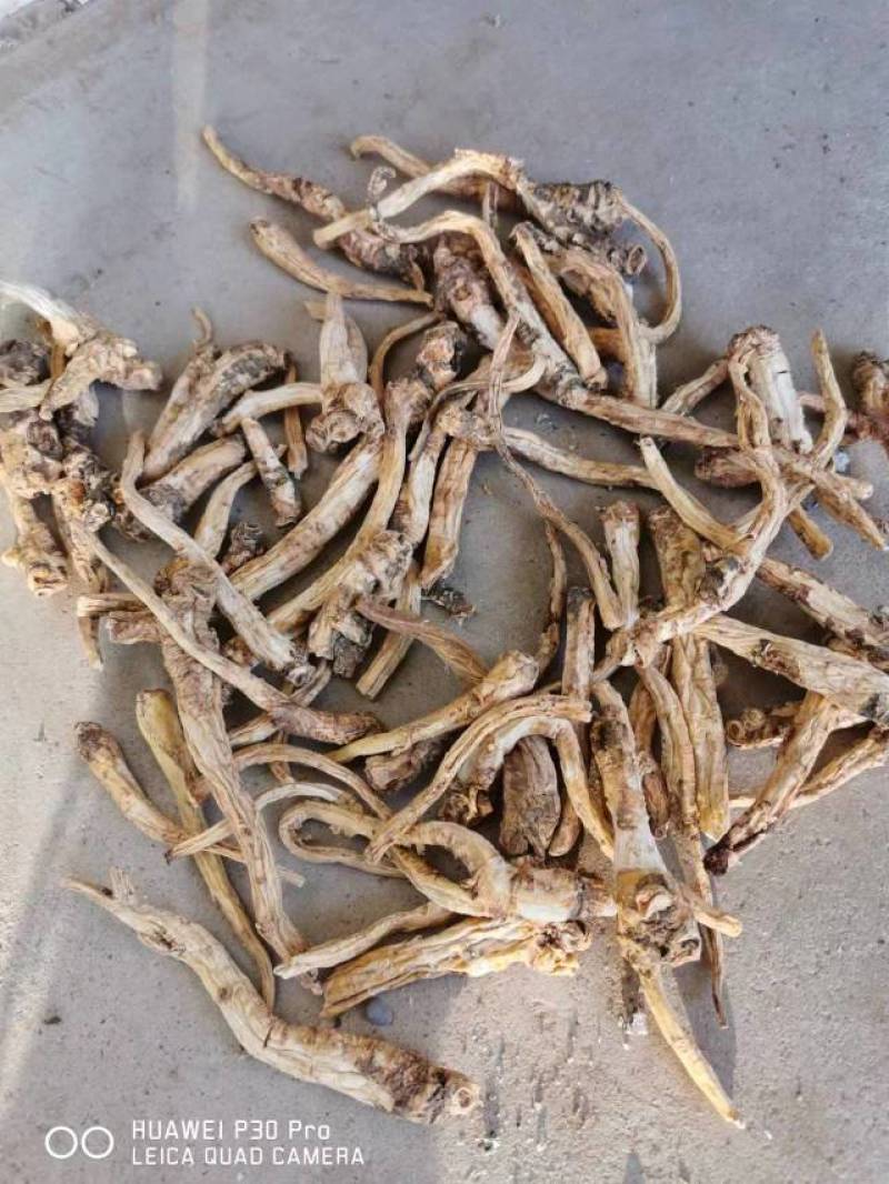 甘肃干桔梗个子甘肃去皮个子去皮个子干桔梗去皮桔梗干个甘肃
