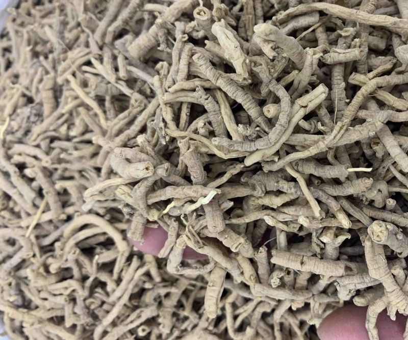 远志无硫磺熏蒸一公斤起批产地直销