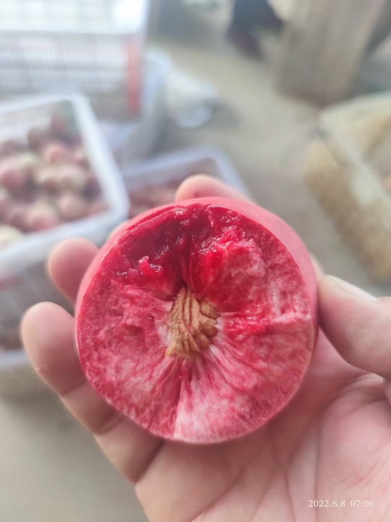 血桃，优质桃基地5斤装/10斤装承接各大电商平台一件代发