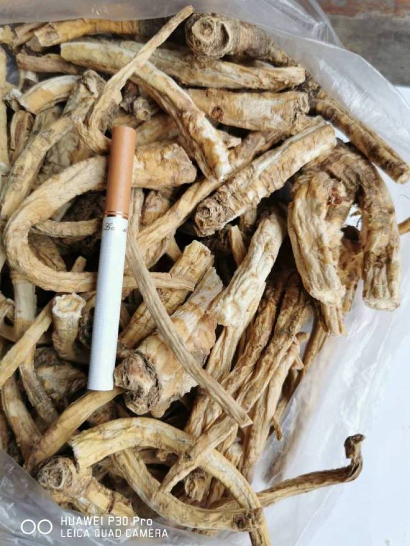 甘肃干桔梗个子甘肃去皮个子去皮个子干桔梗去皮桔梗干个甘肃