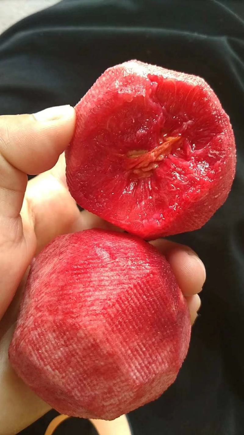 血桃，优质桃基地5斤装/10斤装承接各大电商平台一件代发