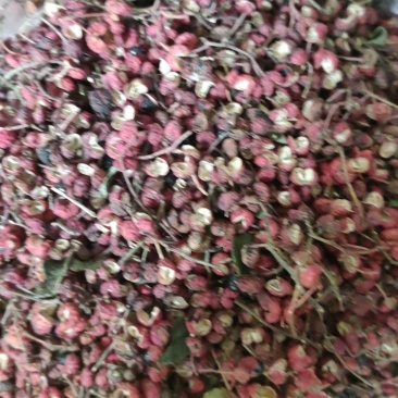 十里香花椒