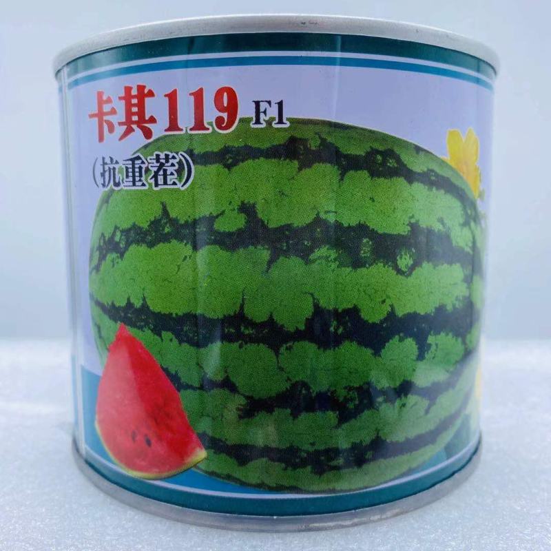 卡其西砂瓜种子品种，红瓤大果西砂瓜品种种子