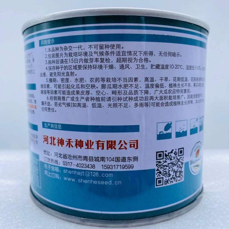 卡其西砂瓜种子品种，红瓤大果西砂瓜品种种子