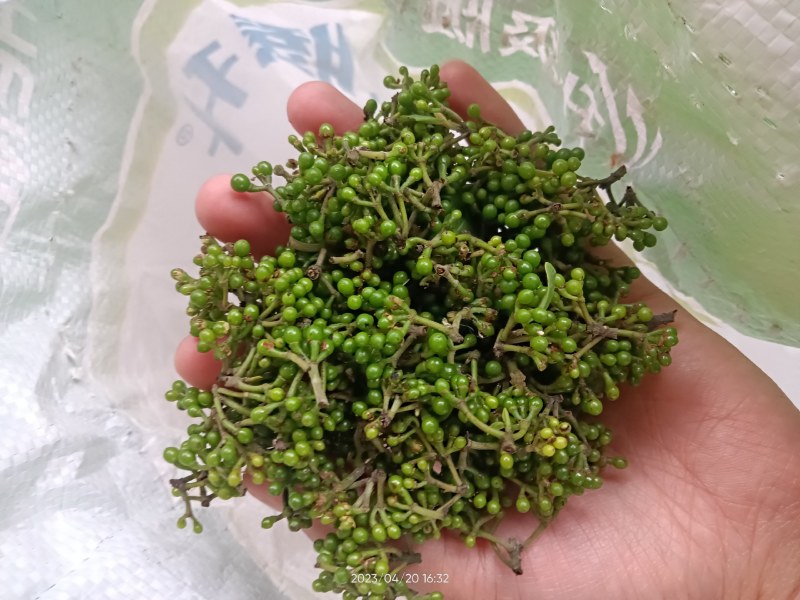木姜子