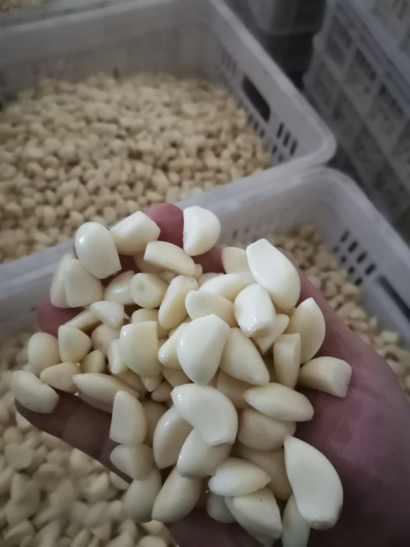 蒜米蒜仔蒜蓉蒜酱蒜泥蒜丁不泡水
